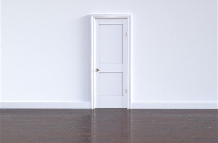 satin nickel interior door hinges