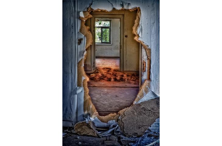 bearing door