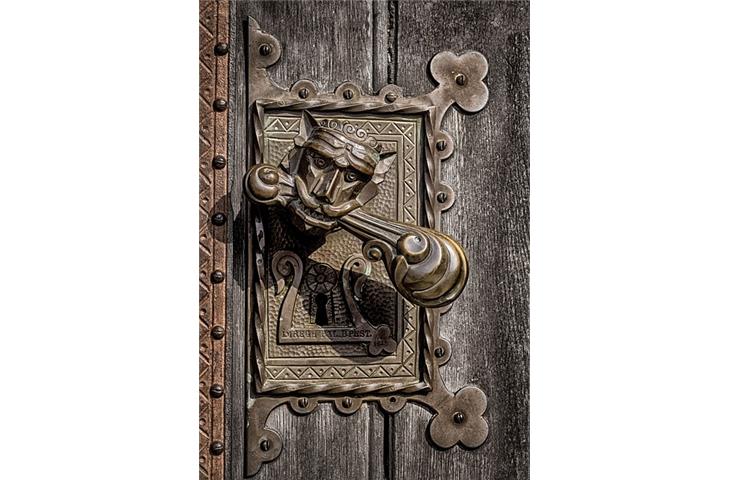 pivot door handle
