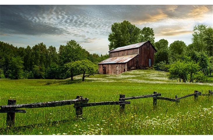 barn style hinges