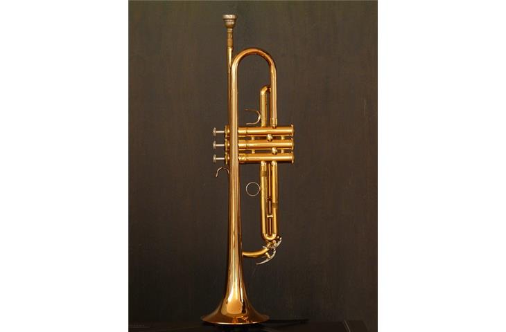 brass hinges