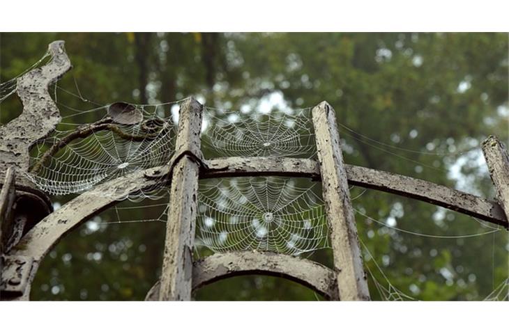antique gate hinges