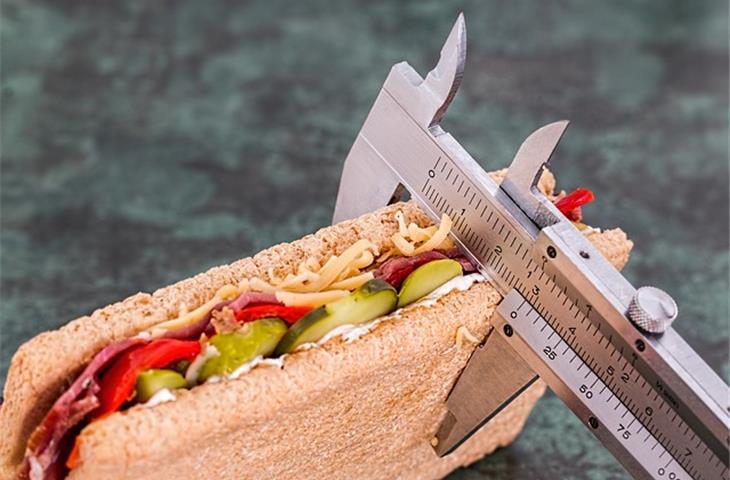 continuous hinge weight capacity