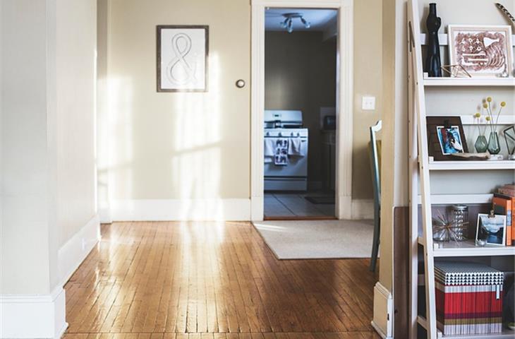 interior door hidden hinges