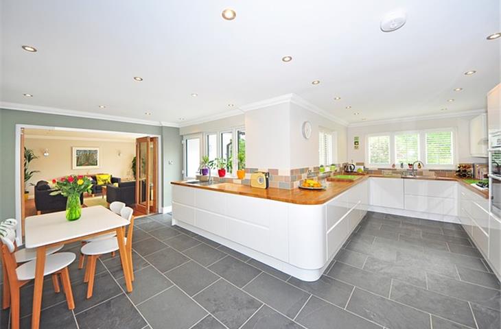 inset kitchen hinges