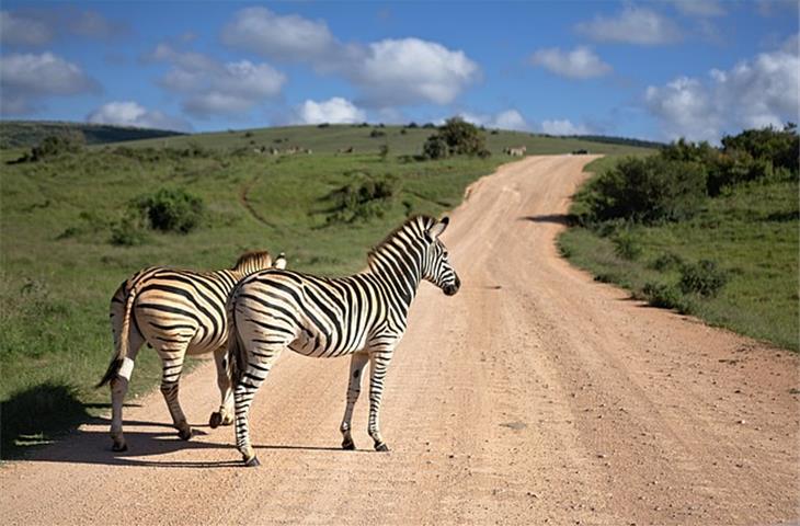 heavy duty hinges south africa