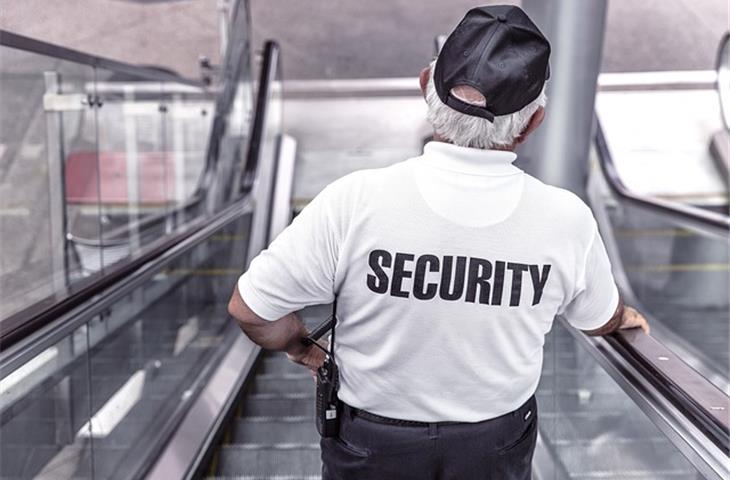 exterior security hinges