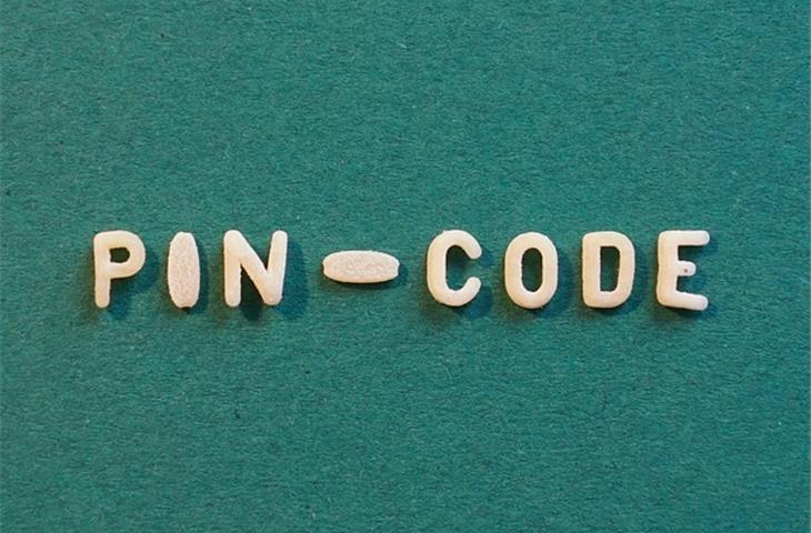 security hinge pins
