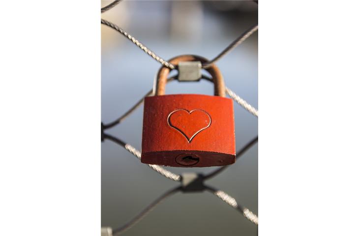 electric panel lock